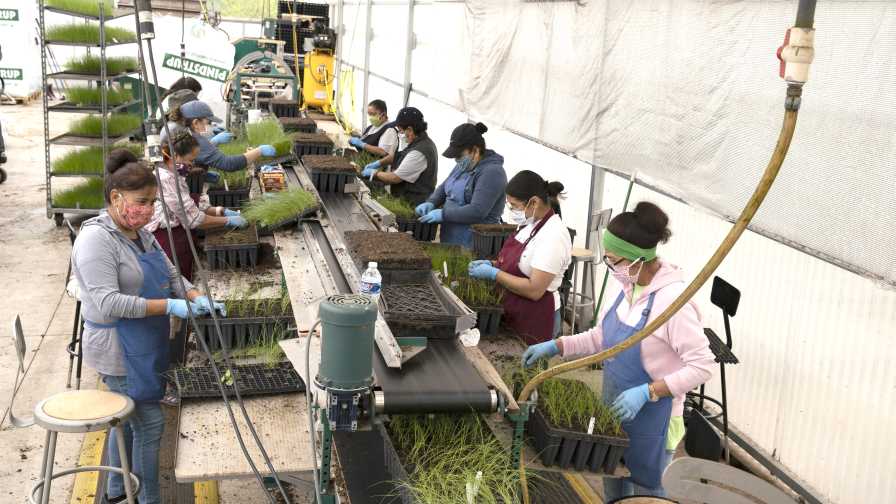 North Creek Nurseries Production Line Systems Approach to Nursery Certification