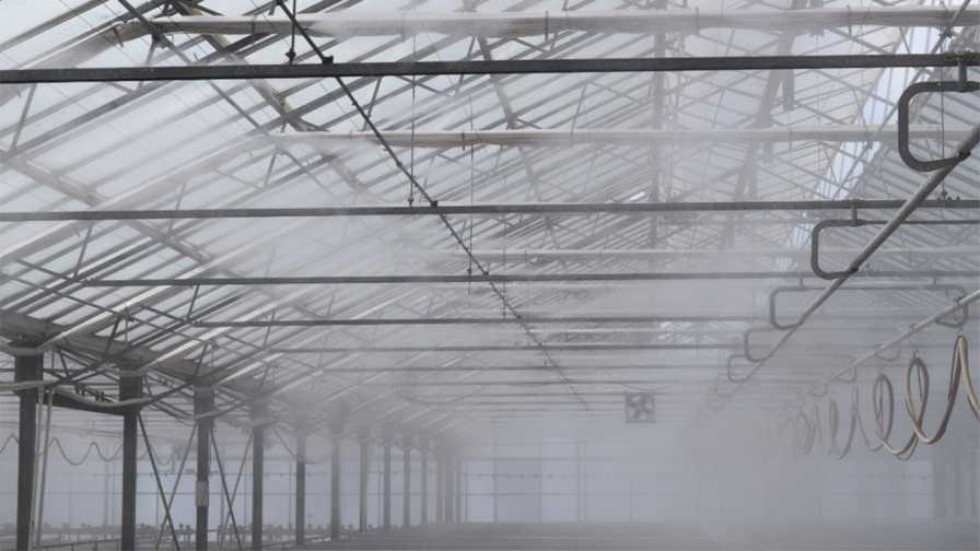 Fog system at Pacific Plug and Liner