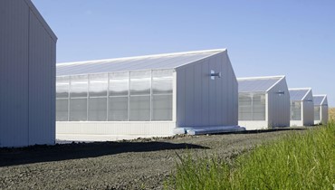 Ceres Cannabis Greenhouses