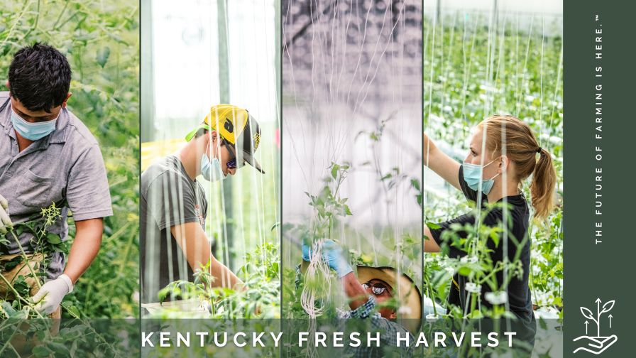 Kentucky Fresh Harvest Team