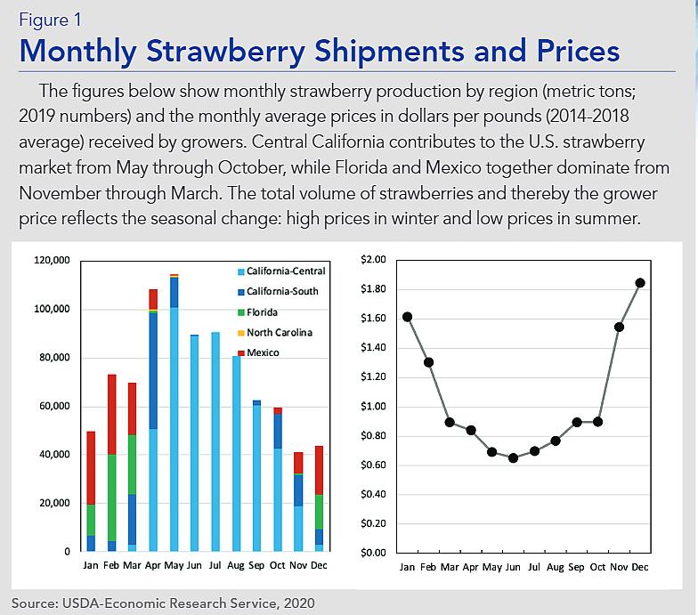 Greenhouse strawberry shipment and pricing graphic