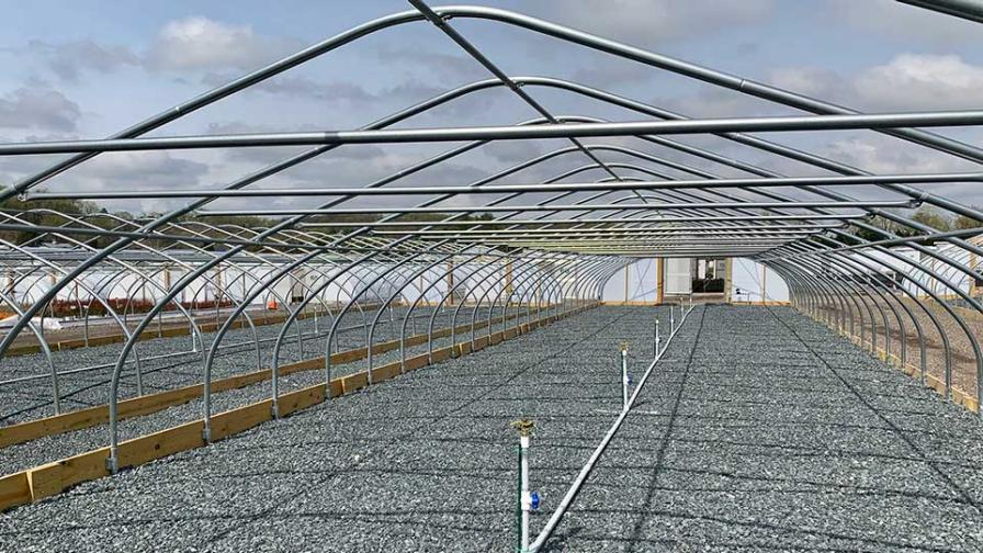 Sold-out greenhouse block at The Perennial Farm