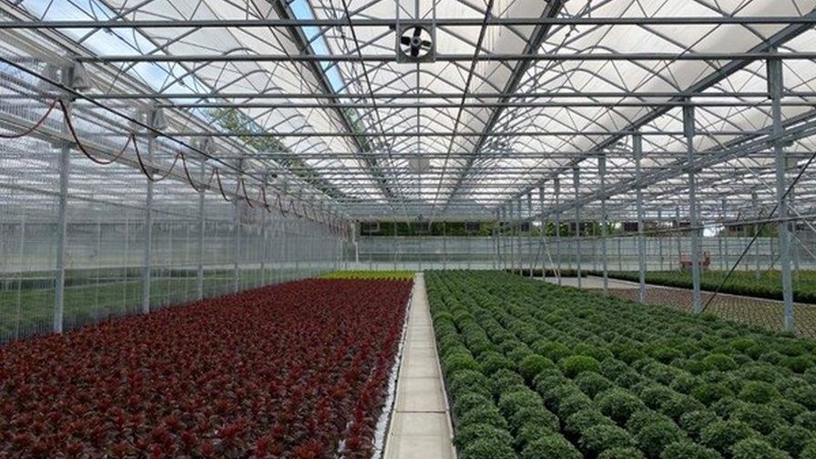 DeCloet Greenhouse Manufacturing and BFG Supply