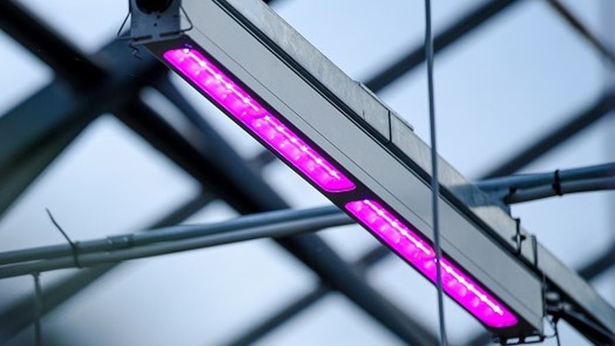 Philips-GreenPower-LED-toplighting-energy-efficient-grow-light Web utility rebate