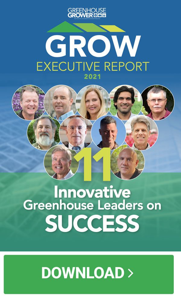 Grow Executive Report
