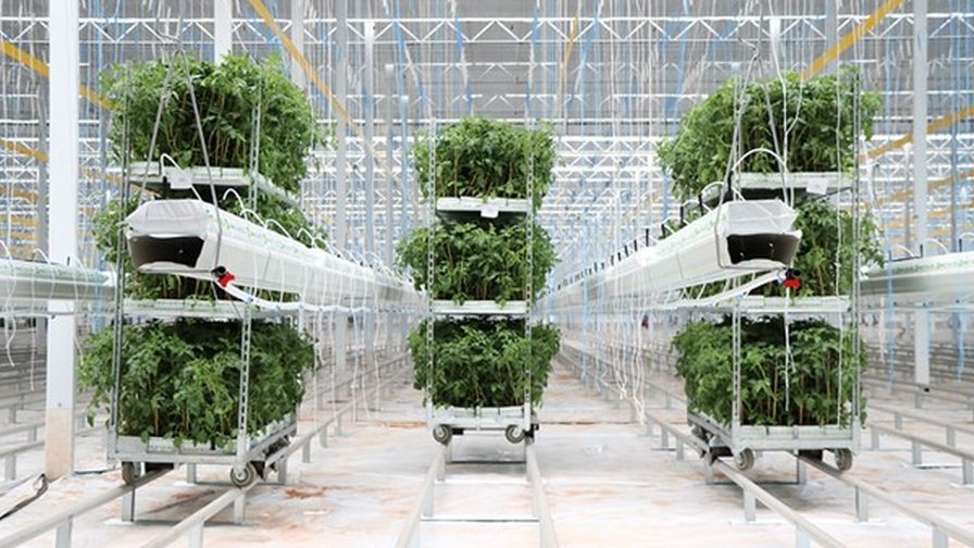 Intergrow Greenhouses