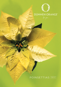 Dummen Orange 2022 Poinsettia Catalog