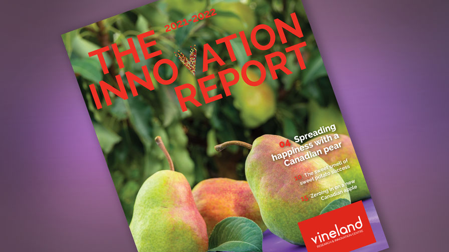 Vineland Innovation report 2021-2022
