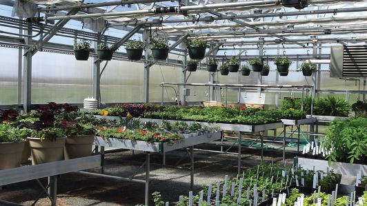 GrowSpan greenhouse Shelving