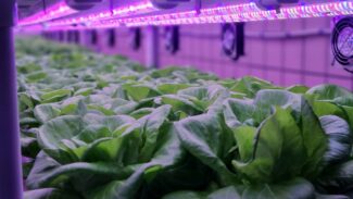 sustainable agriculture news
