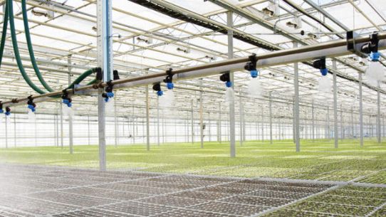 GrowSpan greenhouse Irrigation