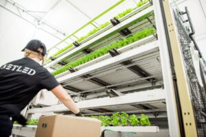 Vera Vertical Farm (Netled)