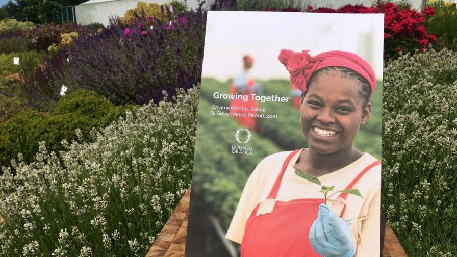 Dummen Orange Sustainability