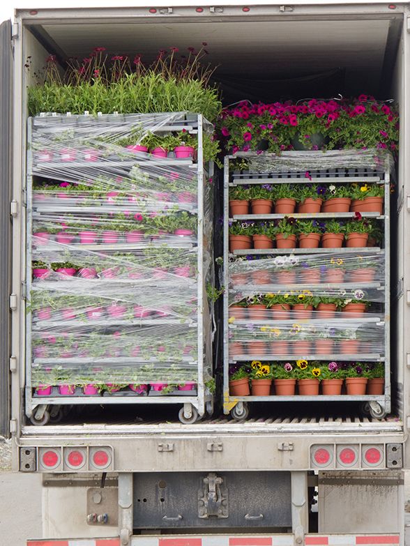Open delivery truck loaded with pot plants pallets fleet management
