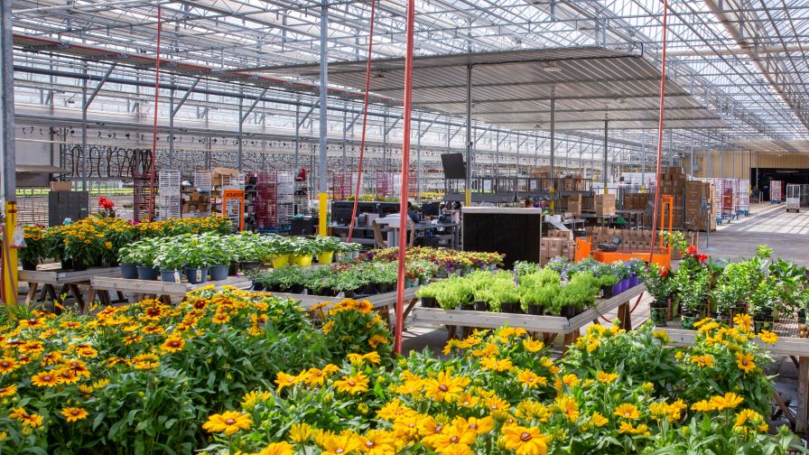Metrolina Greenhouses Direct to Consumer Operations Center consumer education
