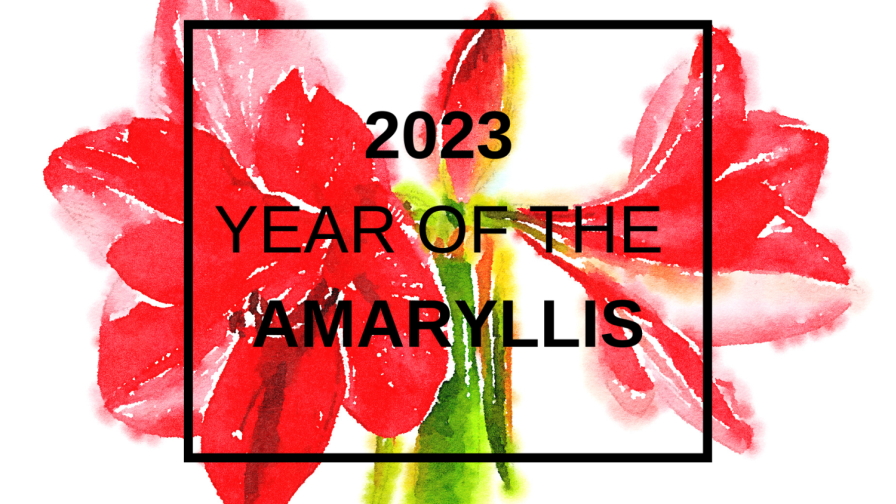 NGB 2023 Year of the Amaryllis