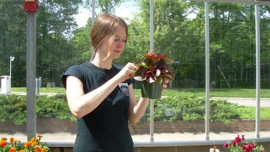 Laura Barth, American Floral Endowment