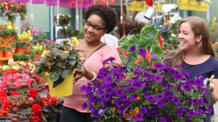 Young People Shopping for Plants plant prices