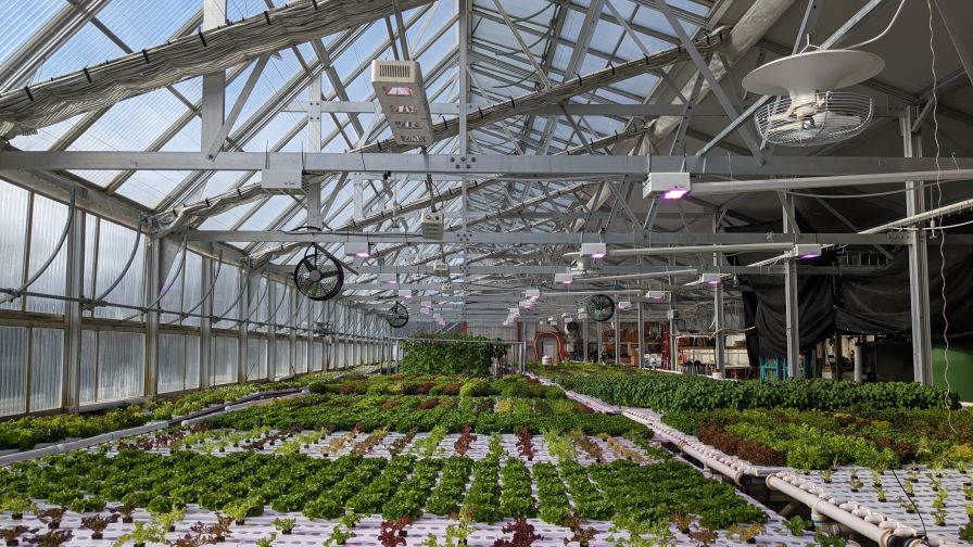 Climate Smart Farming in Greenhouse Vegetables
