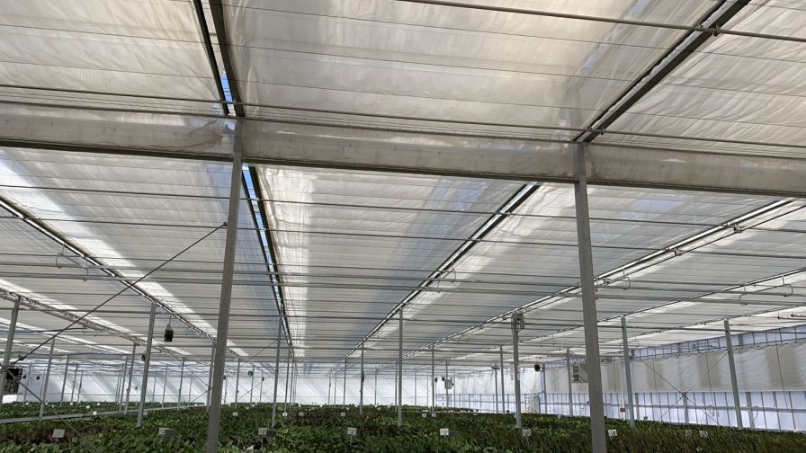 Curtains Installed in a Greenhouse