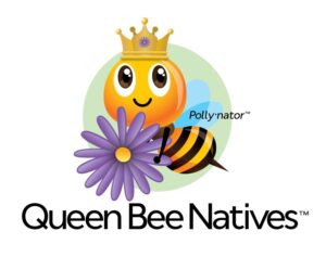 Perennial Farm Queen Bee Natives native pollinators
