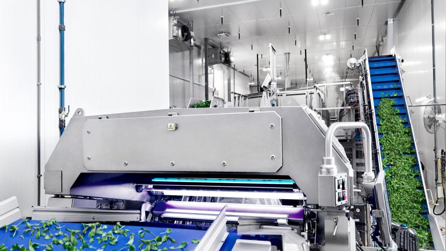 Plenty Compton Optical Sorter