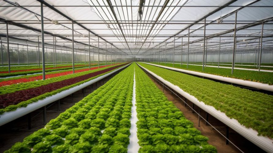 Indoor Agriculture Business Plan