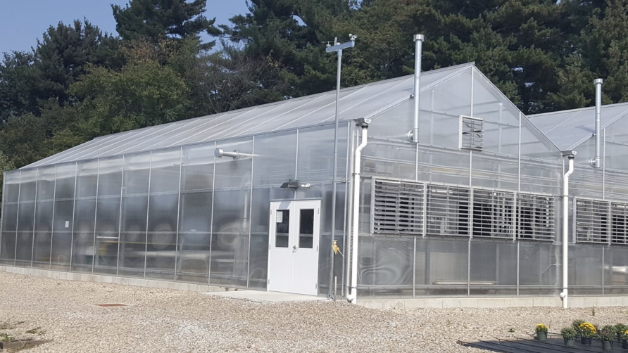LLK Upgrading Your Greenhouse greenhouse upgrades
