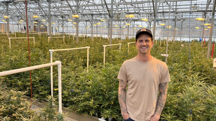 Streamline Farms Cannabis