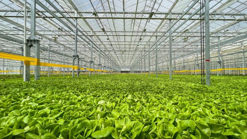 Gotham Greens Opens Second Colorado Greenhouse, and It’s a Big One ...