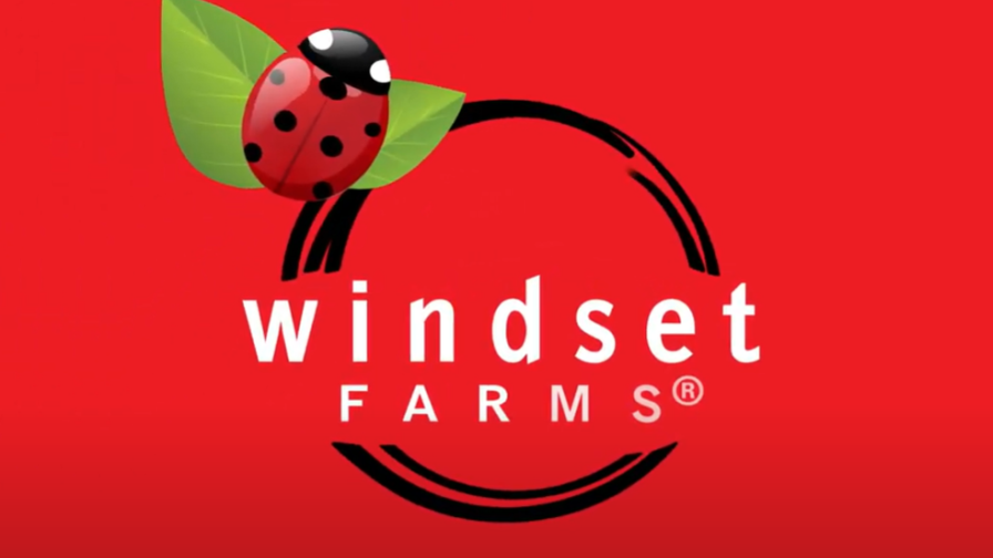 Windset Farms Brand Refresh