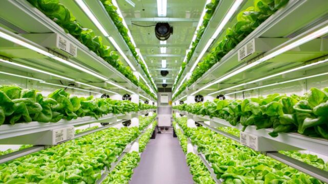 South Carolina Women’s Prison Brings Vertical Farm to Inmates ...