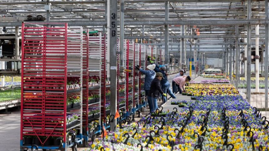 Metrolina Greenhouse Receives Industry-First GlobalG.A.P. Certification ...