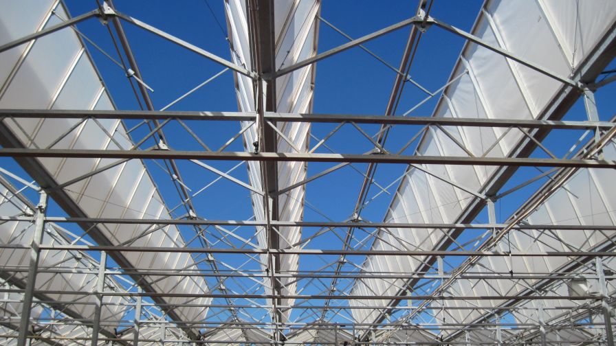 Stuppy Pro-Line AeroMax