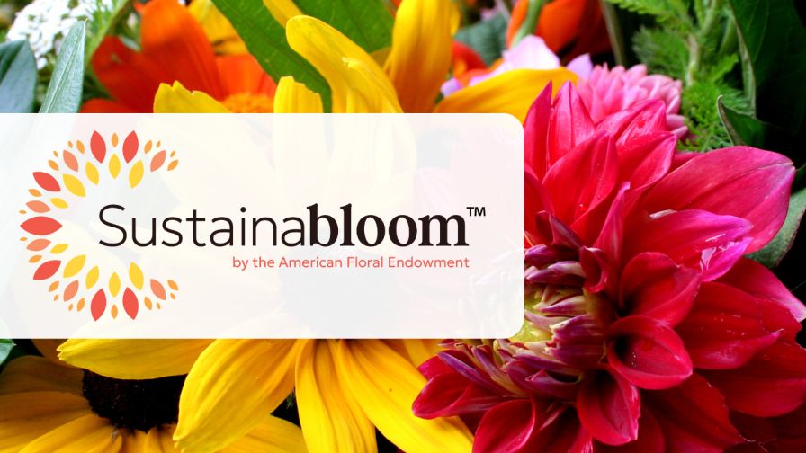 Sustainabloom by the American Floral Endowment (AFE) banner image and logo for sustainability resources