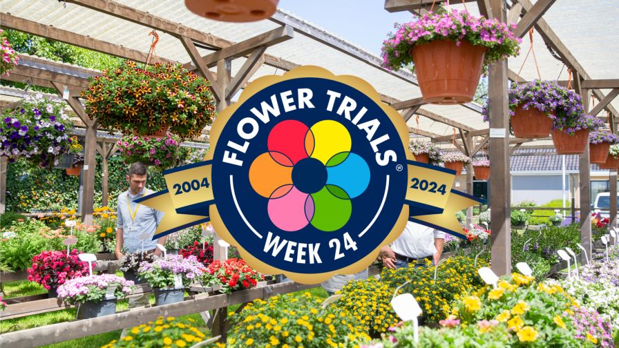 FlowerTrials 2024 20th Anniversary Edition event logo and on-site photo