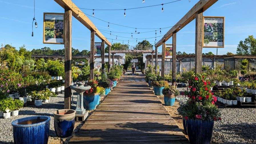 Walkway at The Gardens of Southeastern North Carolina, the 11th Proven Winners Signature Garden