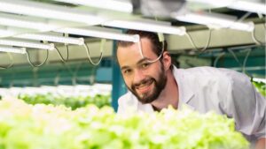 Male scientist wear white uniform working in organic, hydroponic vegetables plots growing on indoor vertical farm, Happy smiling and analyzes and studies research organic vegetables