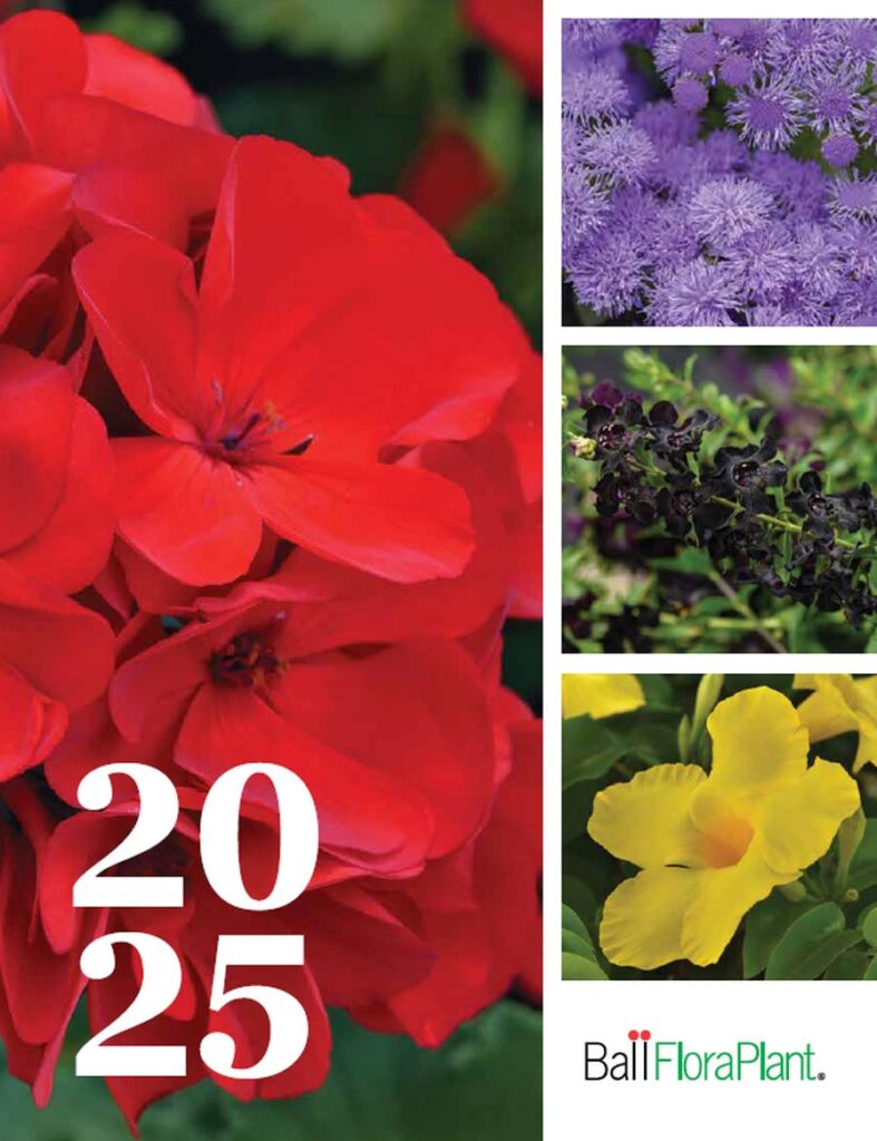 Ball FloraPlant 2025 catalog front page uncropped