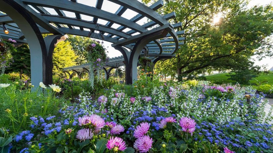 Denver Botanic Gardens as part of the Summer 2024 Colorado Destination Days university field trials at Colorado State University