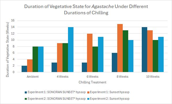 Duration of Vegetative State of Agastache Under Different Durations of Chilling graph chart