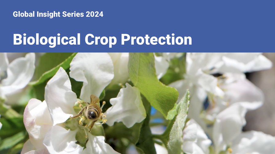 Global Insight Series 2024 on Biological Crop Protection cover