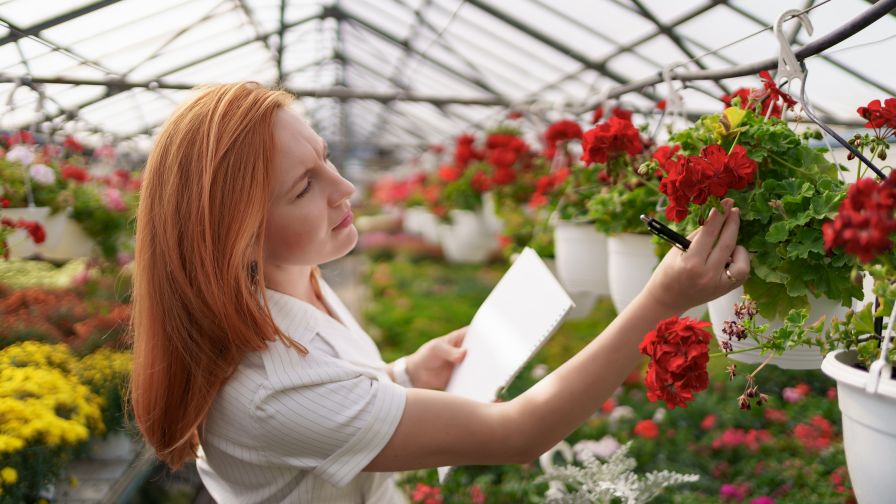 SePRO Corporation Ornamental section header image featuring a woman inspecting red flowers in a greenhouse, regarding investment