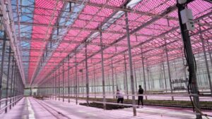 solar energy and agrivoltaics use at Freeman Herbs interior