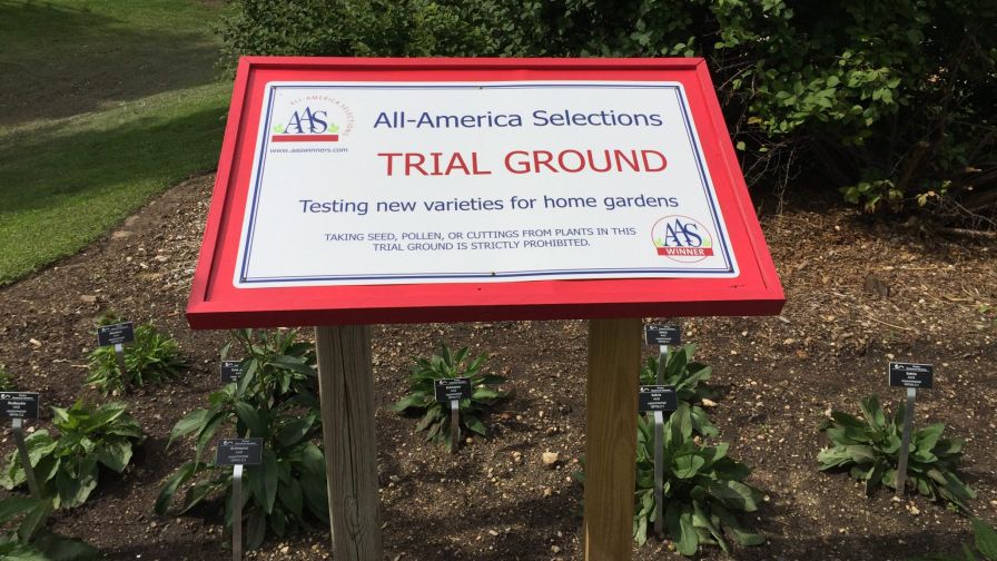 All-America Selections Trial Ground garden varieties sign