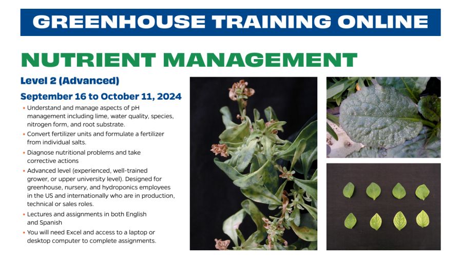 Greenhouse Training Online 'Nutrient Management 2' course from University of Florida IFAS Extension