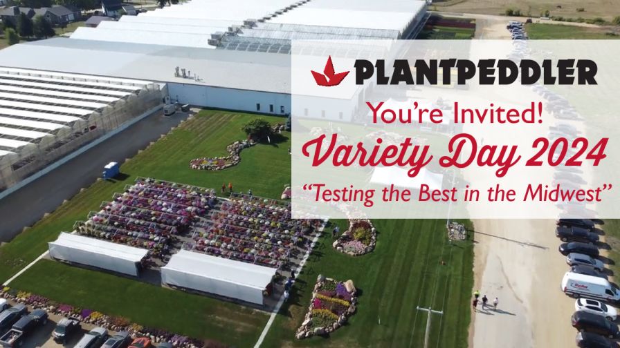 Plantpeddler Variety Day 2024 image banner of overhead drone shot of flower field collection