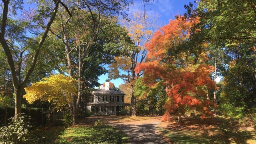 Wakefield Arboretum, as part of the Behind-the-Scenes Tour for the American Horticultural Society Fall 2024 Lifelong Learning Programs