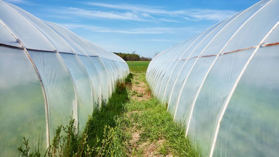 polyethylene film used on makeshift greenhouse roof tents for exterior field cultivation