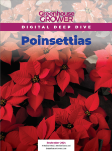 2024 September Digital Deep Dive cover on Poinsettias